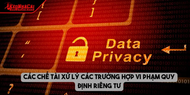Các chế tài xử lý các trường hợp vi phạm quy định riêng tư
