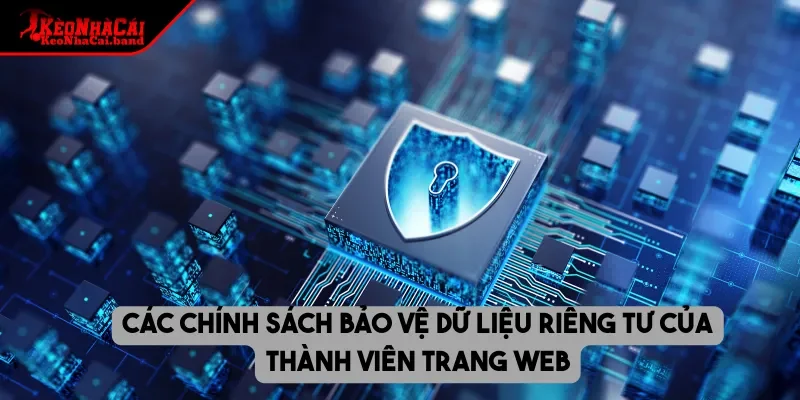 Các chính sách bảo vệ dữ liệu riêng tư của thành viên trang web