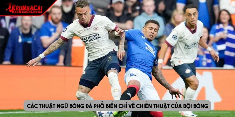 Các thuật ngữ bóng đá phổ biến chỉ về chiến thuật của đội bóng