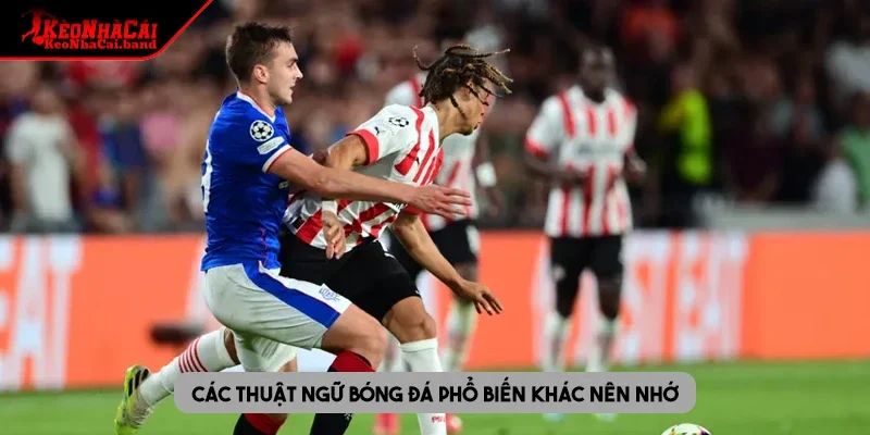 Các thuật ngữ bóng đá phổ biến khác nên nhớ