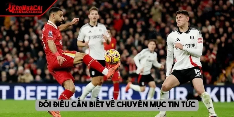 Đôi điều cần biết về chuyên mục tin tức