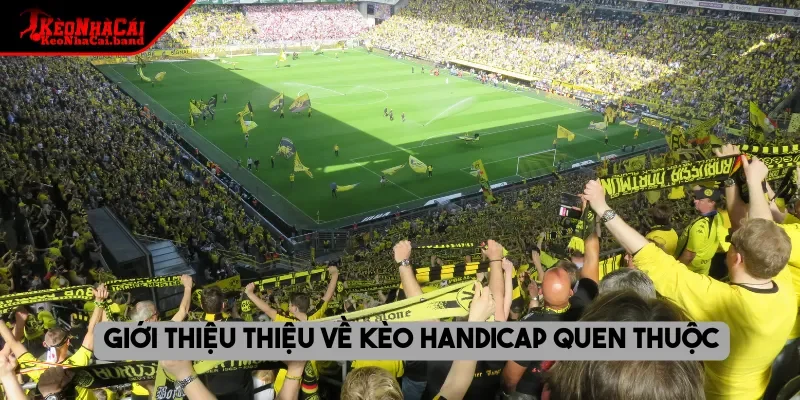 Giới thiệu thiệu về kèo Handicap quen thuộc