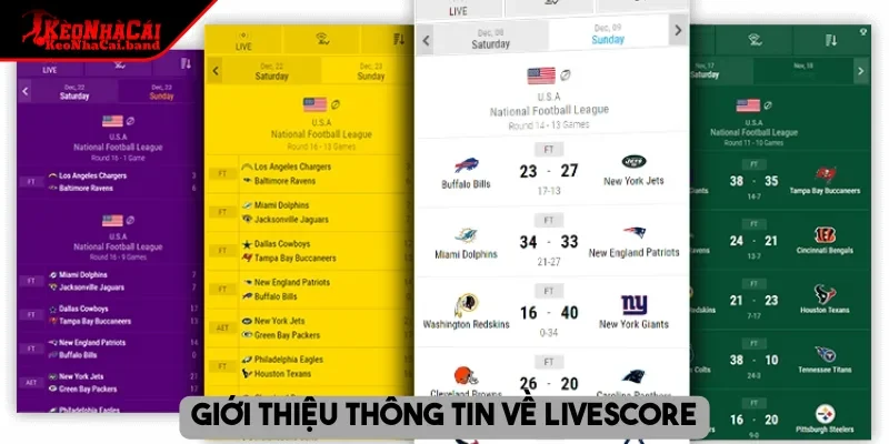 Giới thiệu thông tin về livescore