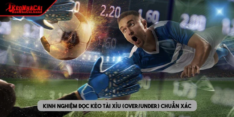 Kinh nghiệm đọc kèo tài xỉu (Over/Under) chuẩn xác