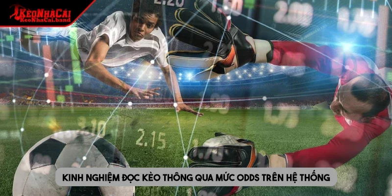 Kinh nghiệm đọc kèo thông qua mức odds trên hệ thống