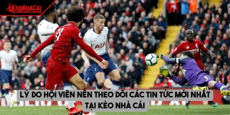Lý do hội viên nên theo dõi các tin tức mới nhất tại kèo nhà cái