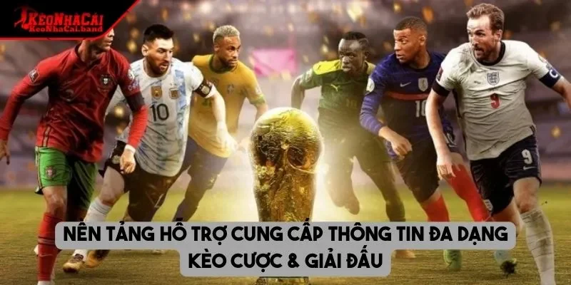 Nền tảng hỗ trợ cung cấp thông tin đa dạng kèo cược & giải đấu