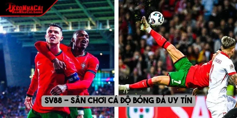 SV88 - Sân chơi cá độ bóng đá uy tín