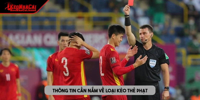 Thông tin hội viên cần nắm về loại kèo thẻ phạt