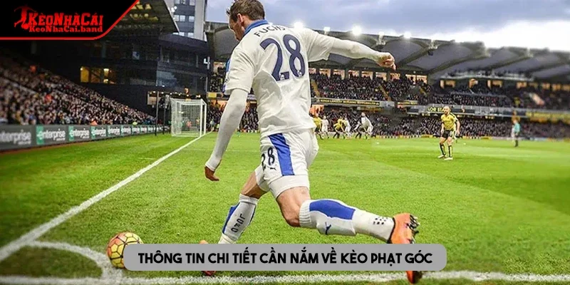 Thông tin chi tiết cần nắm về kèo phạt góc