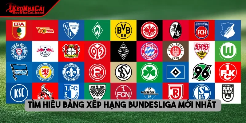 Tìm hiểu BXH bóng đá Ligue 1 mới nhất