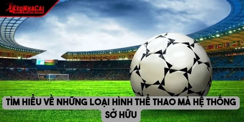 Tìm hiểu về những loại hình thể thao mà hệ thống sở hữu