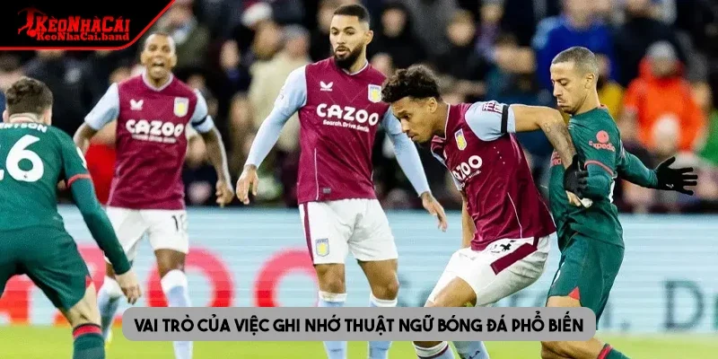 Vai trò của việc ghi nhớ thuật ngữ bóng đá phổ biến